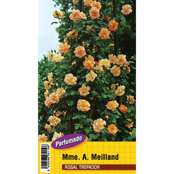 MME. MEILLAND PERFUMADO