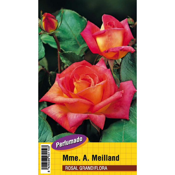 MME. MEILLAND PERFUMADO