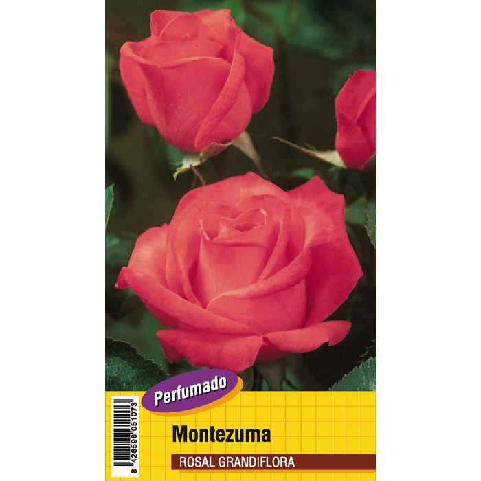 MONTEZUMA PERFUMADO
