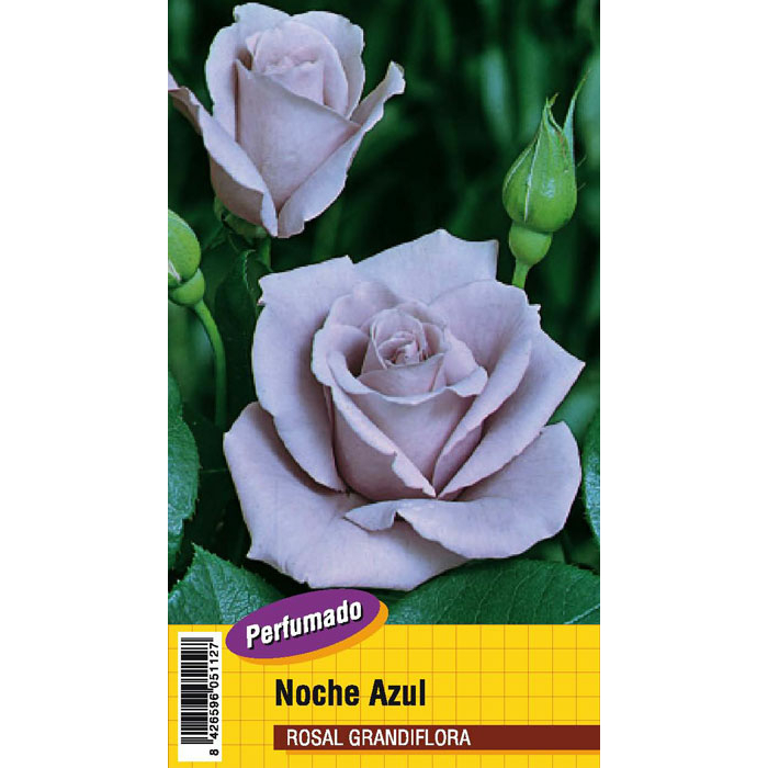 NOCHE AZUL PERFUMADO