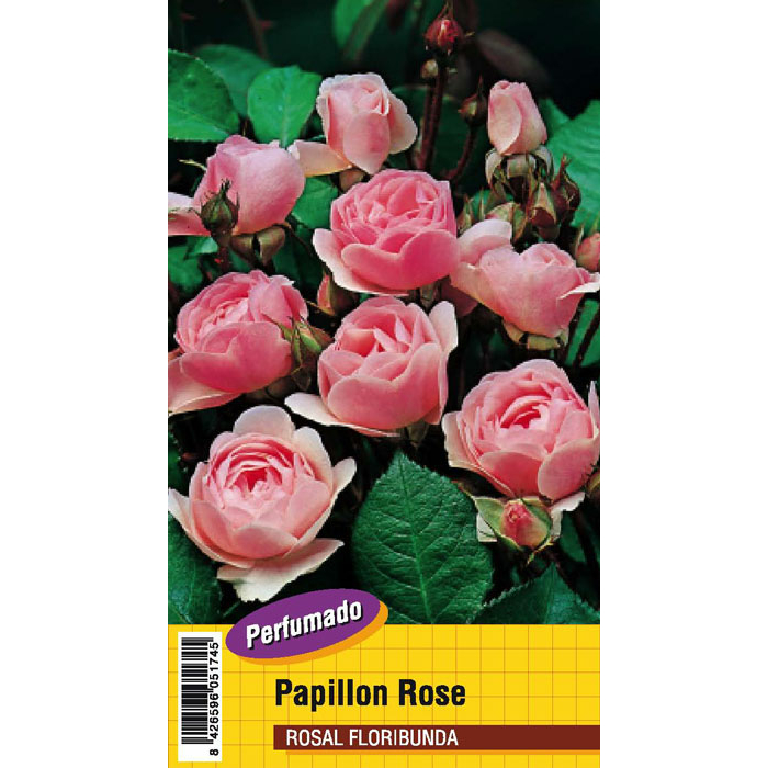 PAPILLON ROSA PERFUMADO