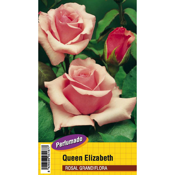 QUEEN ELIZABETH PERFUMADO