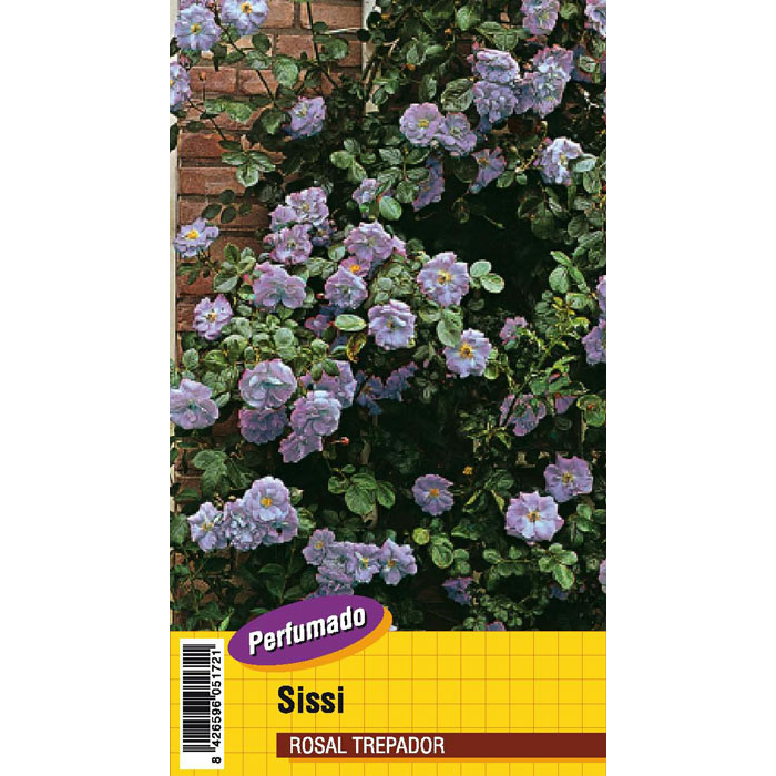 SISSÍ PERUMADO