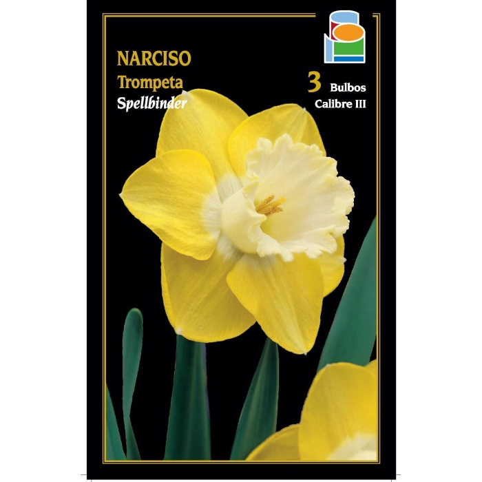 NARCISO SPELLBINDER