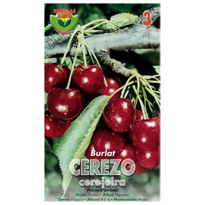 CEREZO - BURLAT