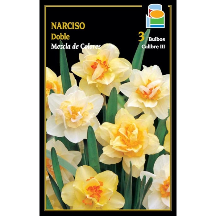 NARCISO DOBLE MEZCLA