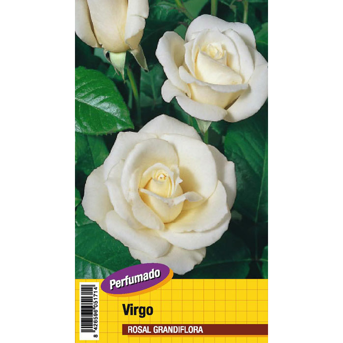 VIRGO PERFUMADO