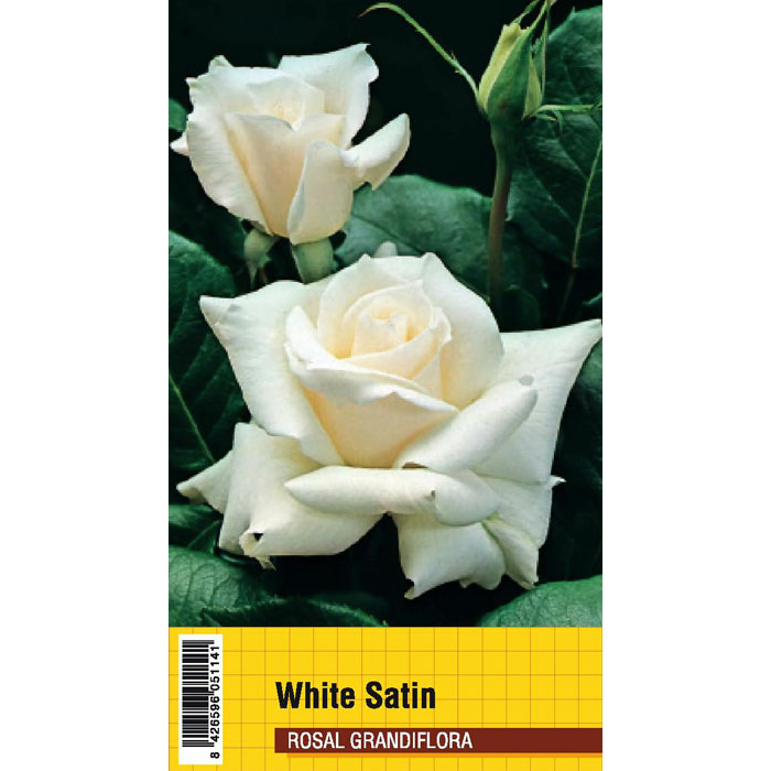 WHITE SATIN