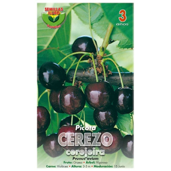 CEREZO - PICOTA