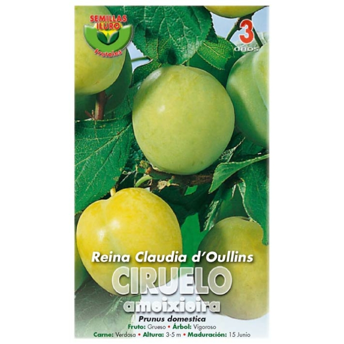 CIRUELO - REINA CLAUDIA D'OULLINS