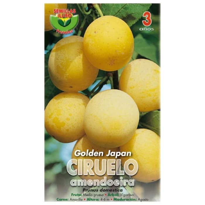 CIRUELO - GOLDEN JAPAN