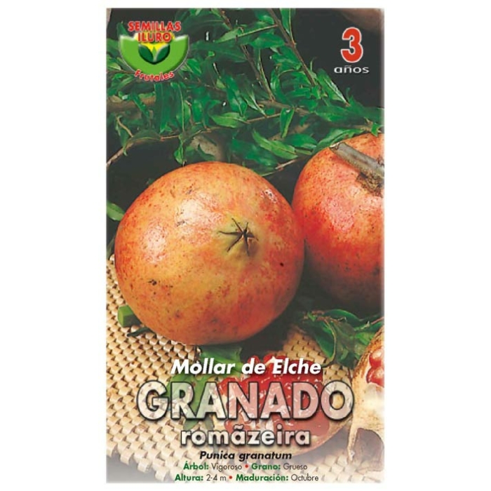 GRANADO - MOLLAR DE ELCHE