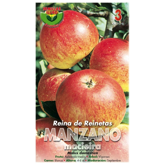MANZANO - REINA DE REINETAS
