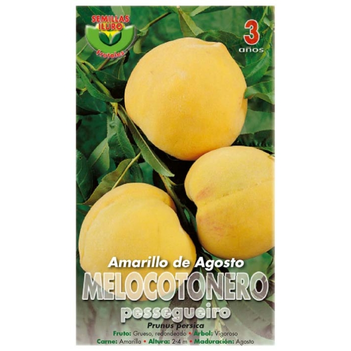 MELOCOTONERO - AMARILLO DE AGOSTO