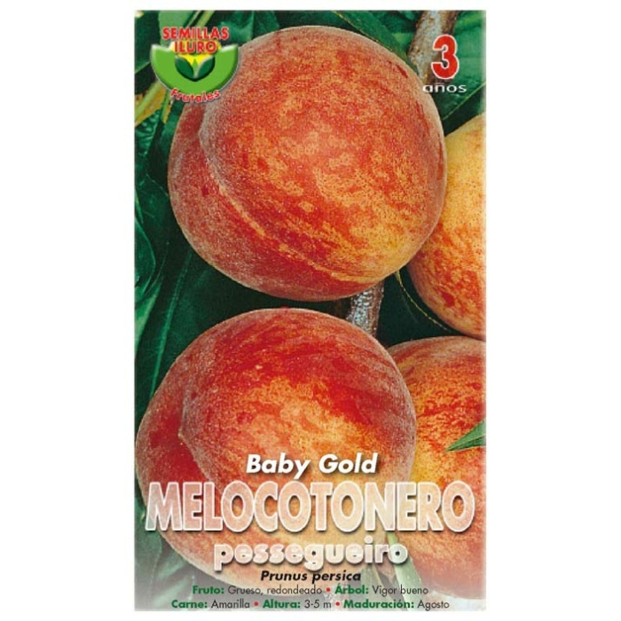 MELOCOTONERO - BABY GOLD