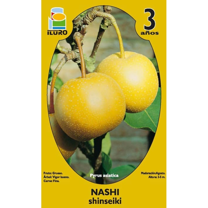 NASHI - SHINSEIKI