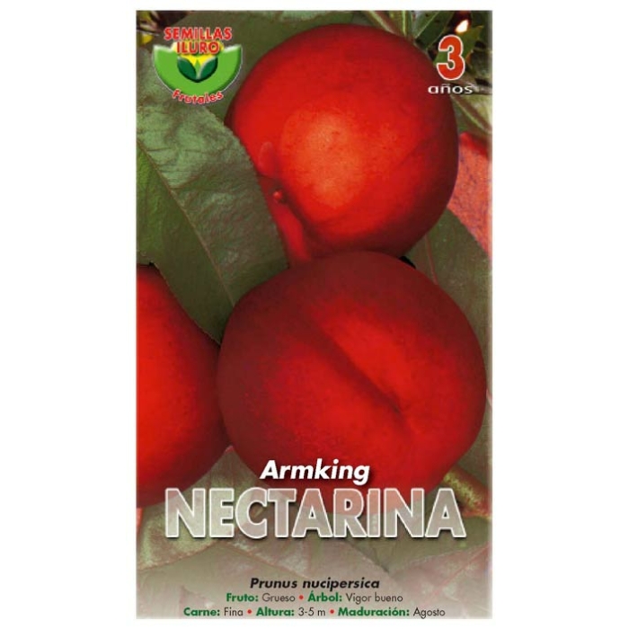 NECTARINA - ARMKING