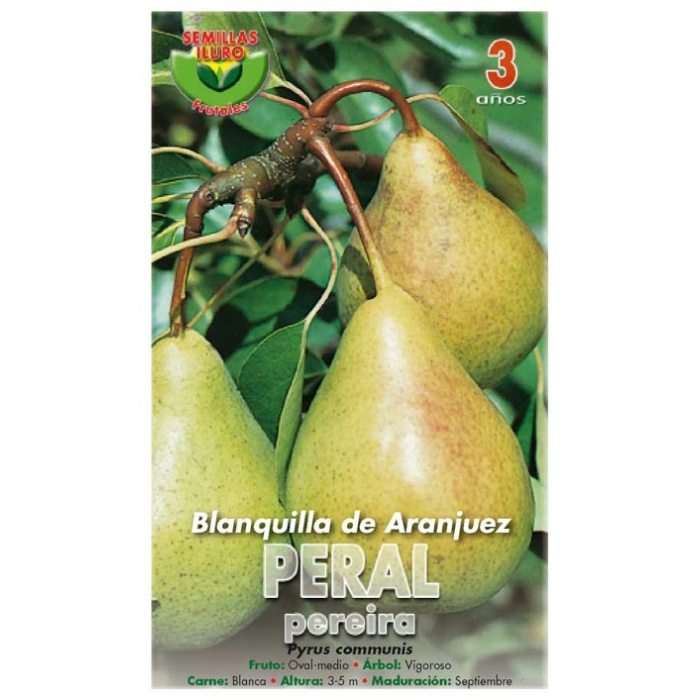 PERAL - BLANQUILLA