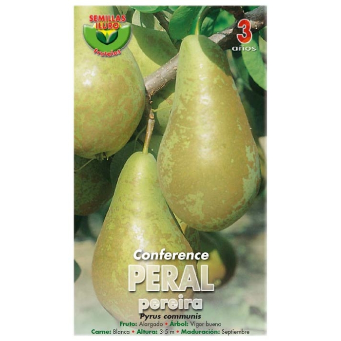 PERAL - CONFERENCE