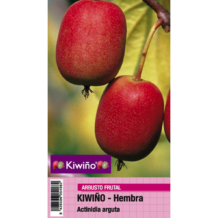 KIWIÑO HEMBRA