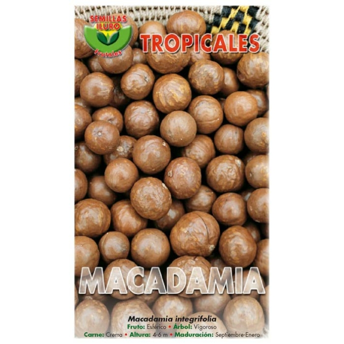 MACADAMIA