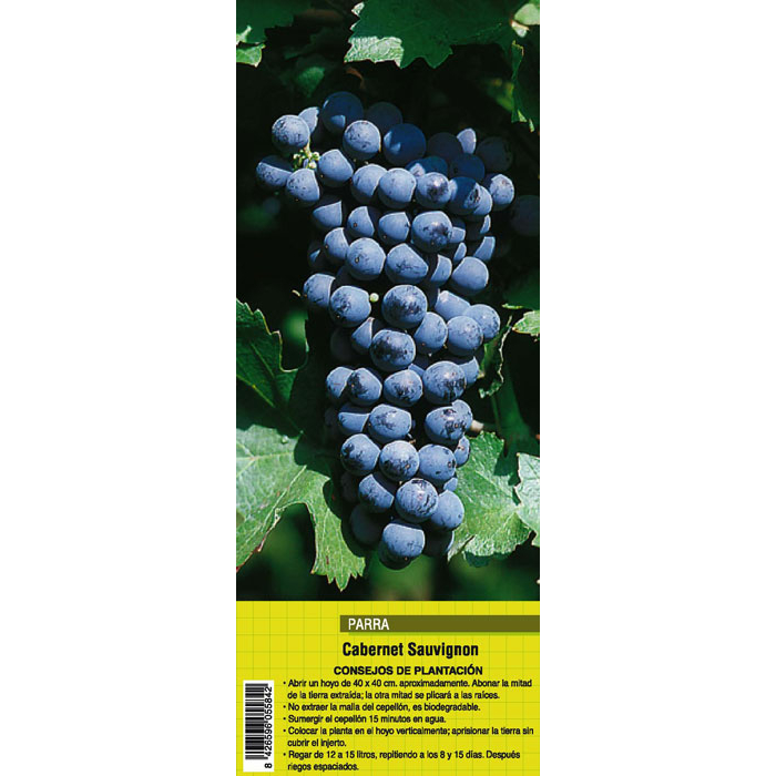 UVA CABERNET SAUVIGNON