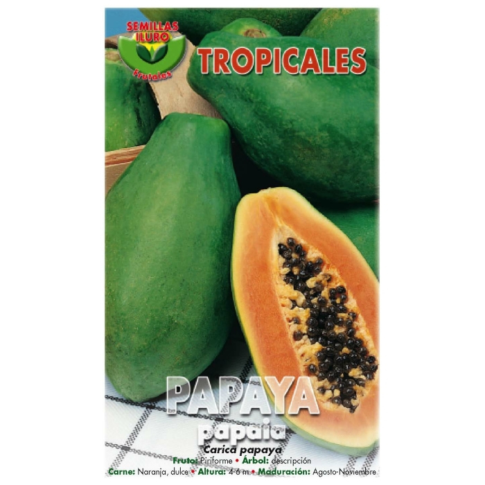 PAPAYA