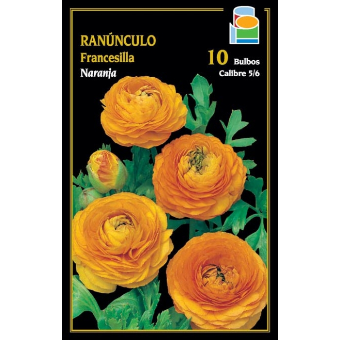 FRANCESILLA NARANJA