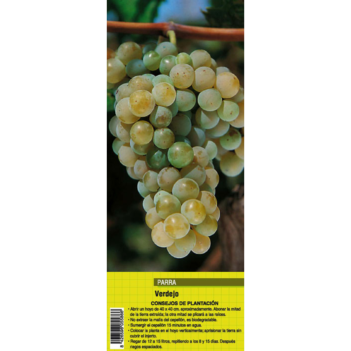 UVA VERDEJO