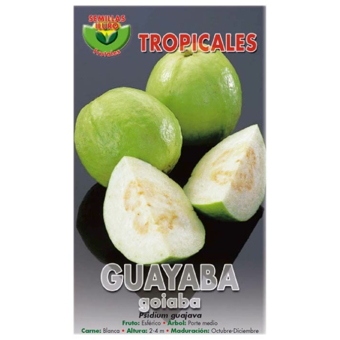 GUAYABA