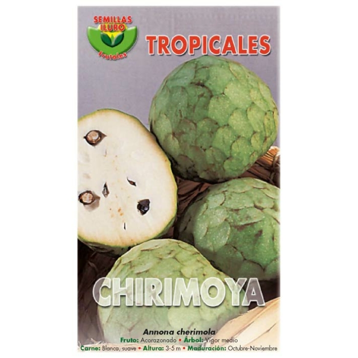 CHIRIMOYO