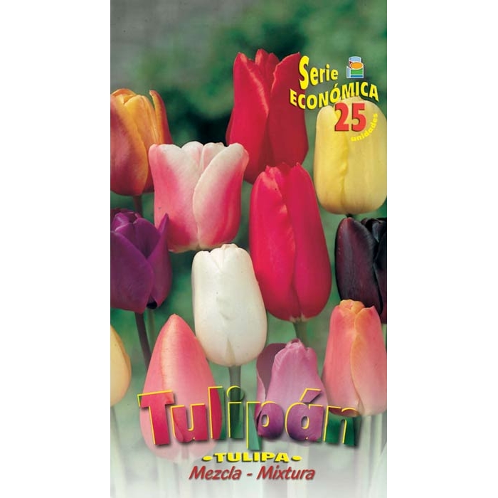 TULIPÁN MEZCLA