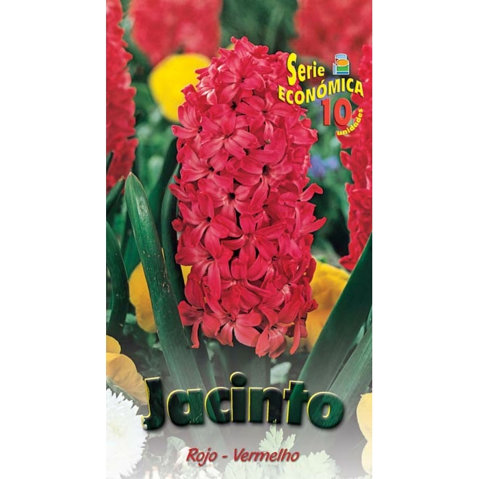 JACINTO ROJO