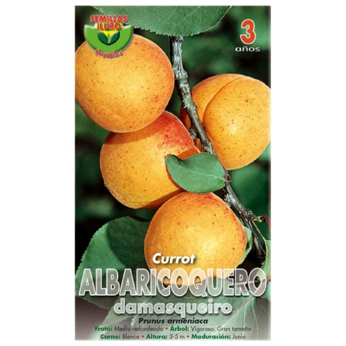 ALBARICOQUERO - CURROT