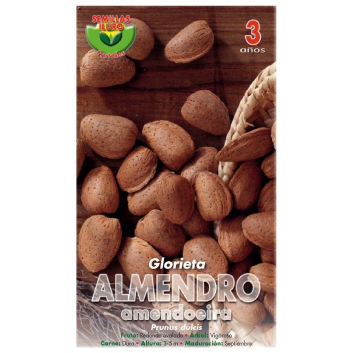ALMENDRO - GLORIETA