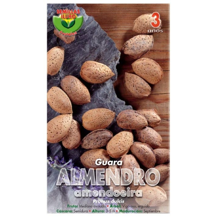 ALMENDRO - GUARA