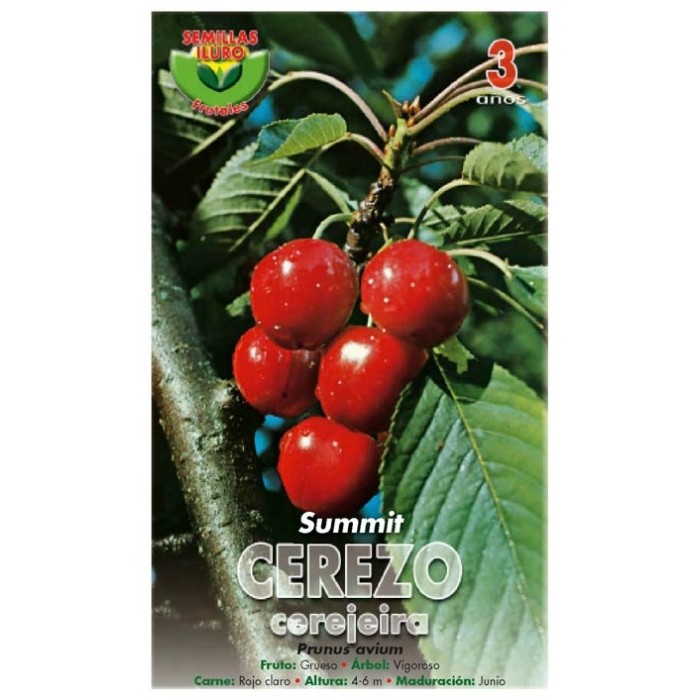 CEREZO - SUMMIT
