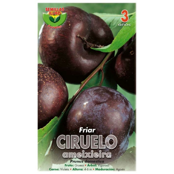 CIRUELO - FRIAR