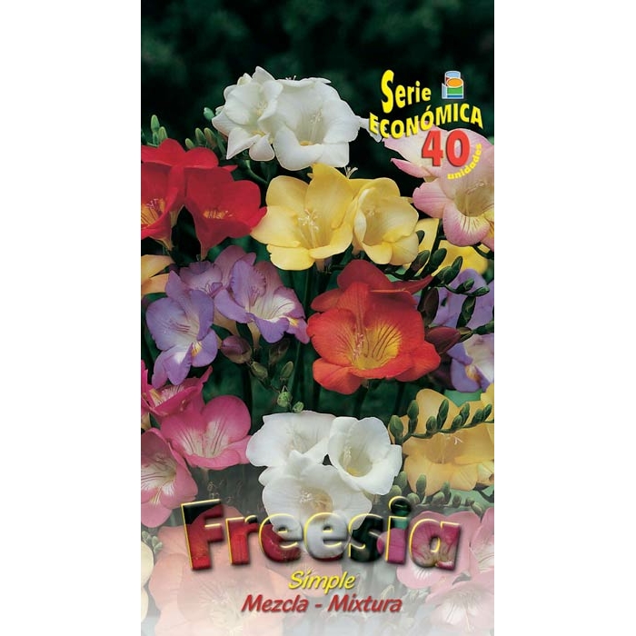 FREESIA SIMPLE MEZCLA 5/6