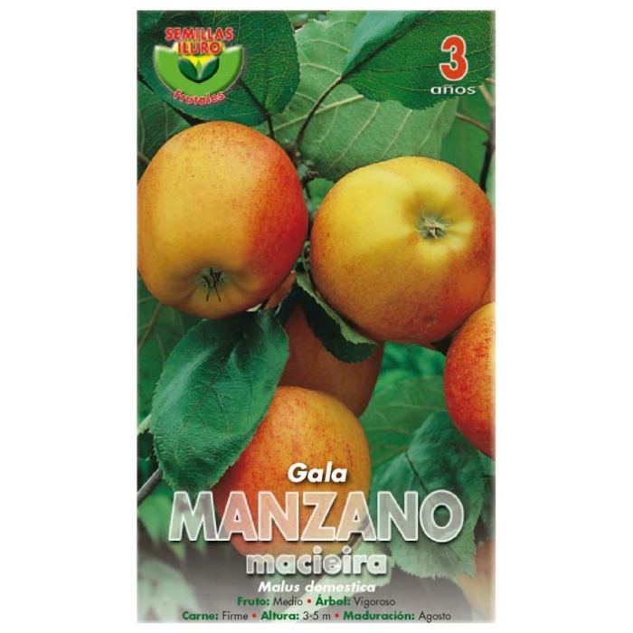 MANZANO - GALA