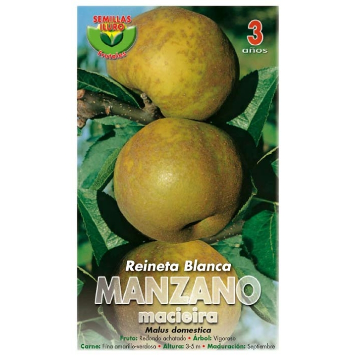 MANZANO - REINETA BLANCA