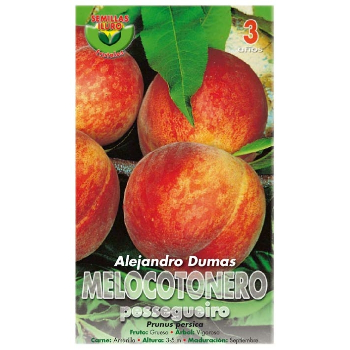 MELOCOTONERO - ALEJANDRO DUMAS