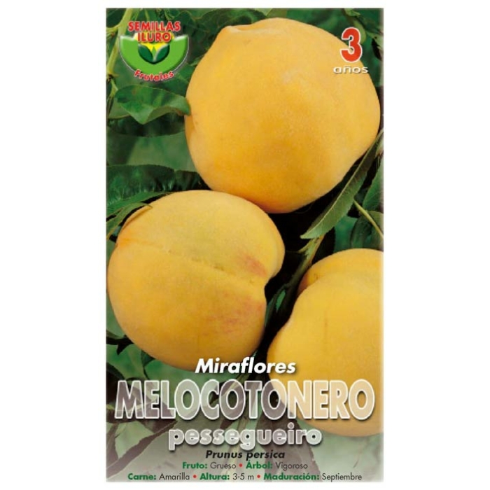 MELOCOTONERO - MIRAFLORES