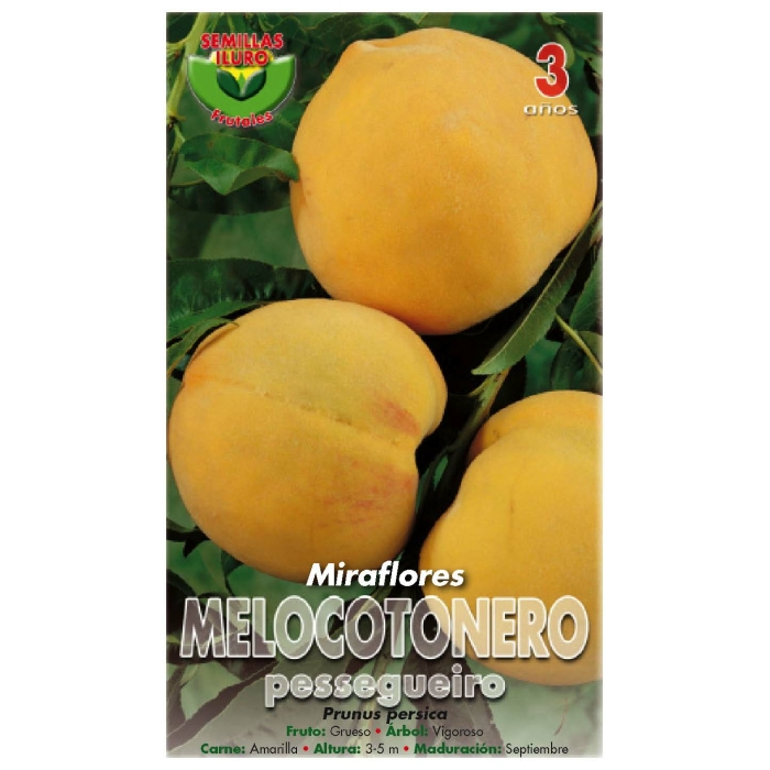MELOCOTONERO - MIRAFLORES