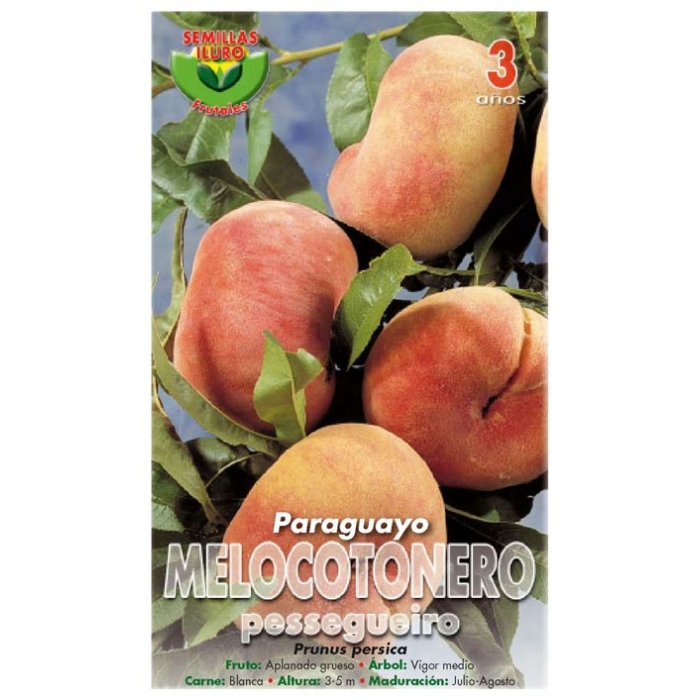 MELOCOTONERO - PARAGUAYO