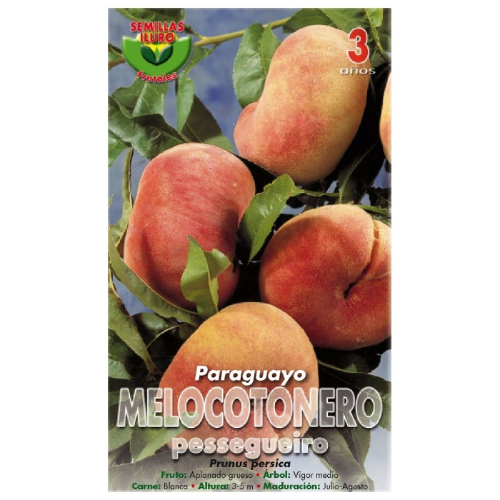 MELOCOTONERO - PARAGUAYO