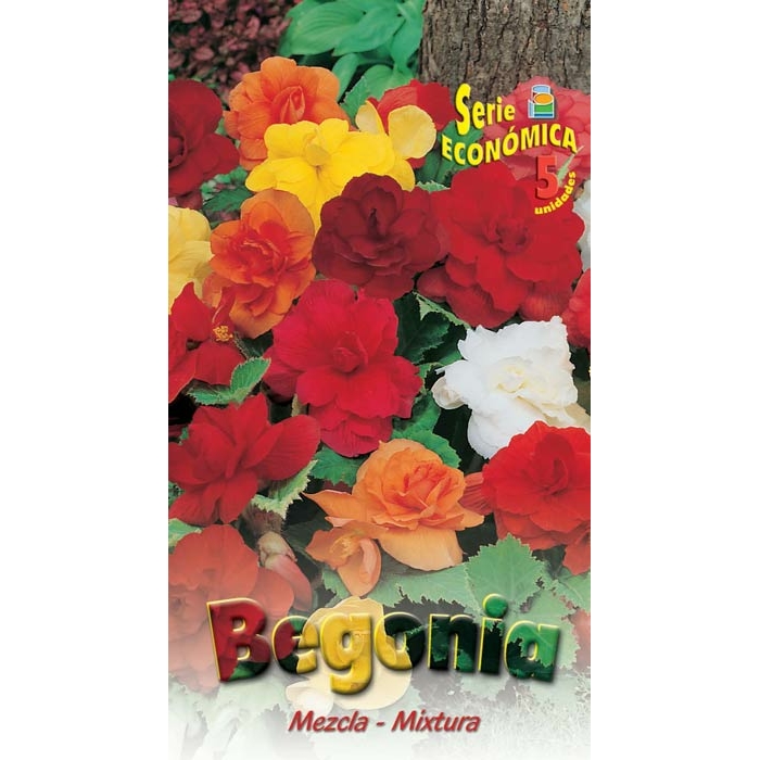 BEGONIA DOBLES MEZCLA