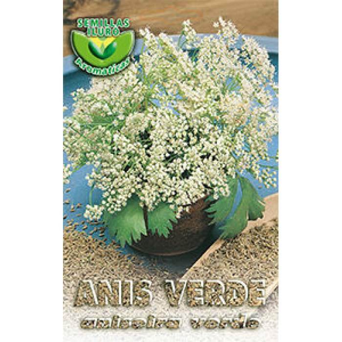 ANÍS VERDE