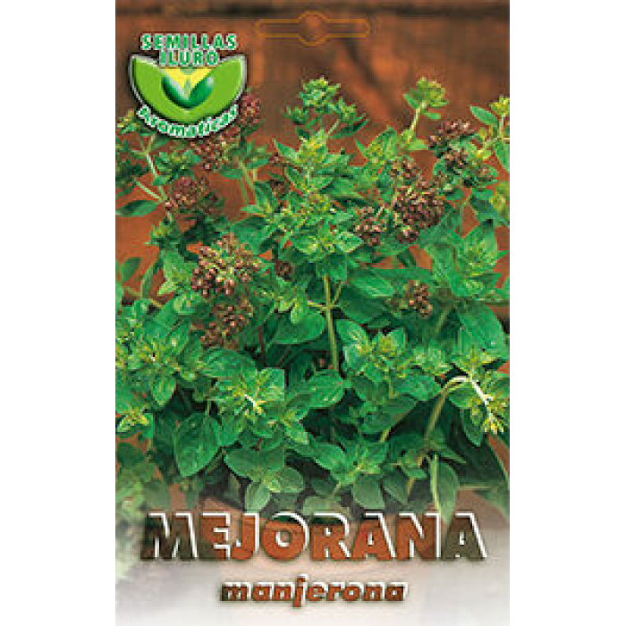 MEJORANA