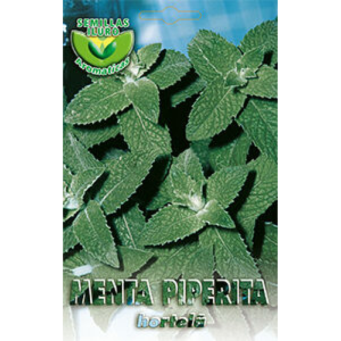 MENTA PIPERITA